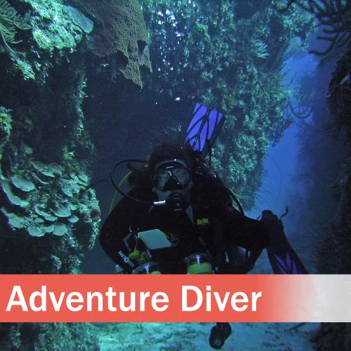 Adventure Diver
